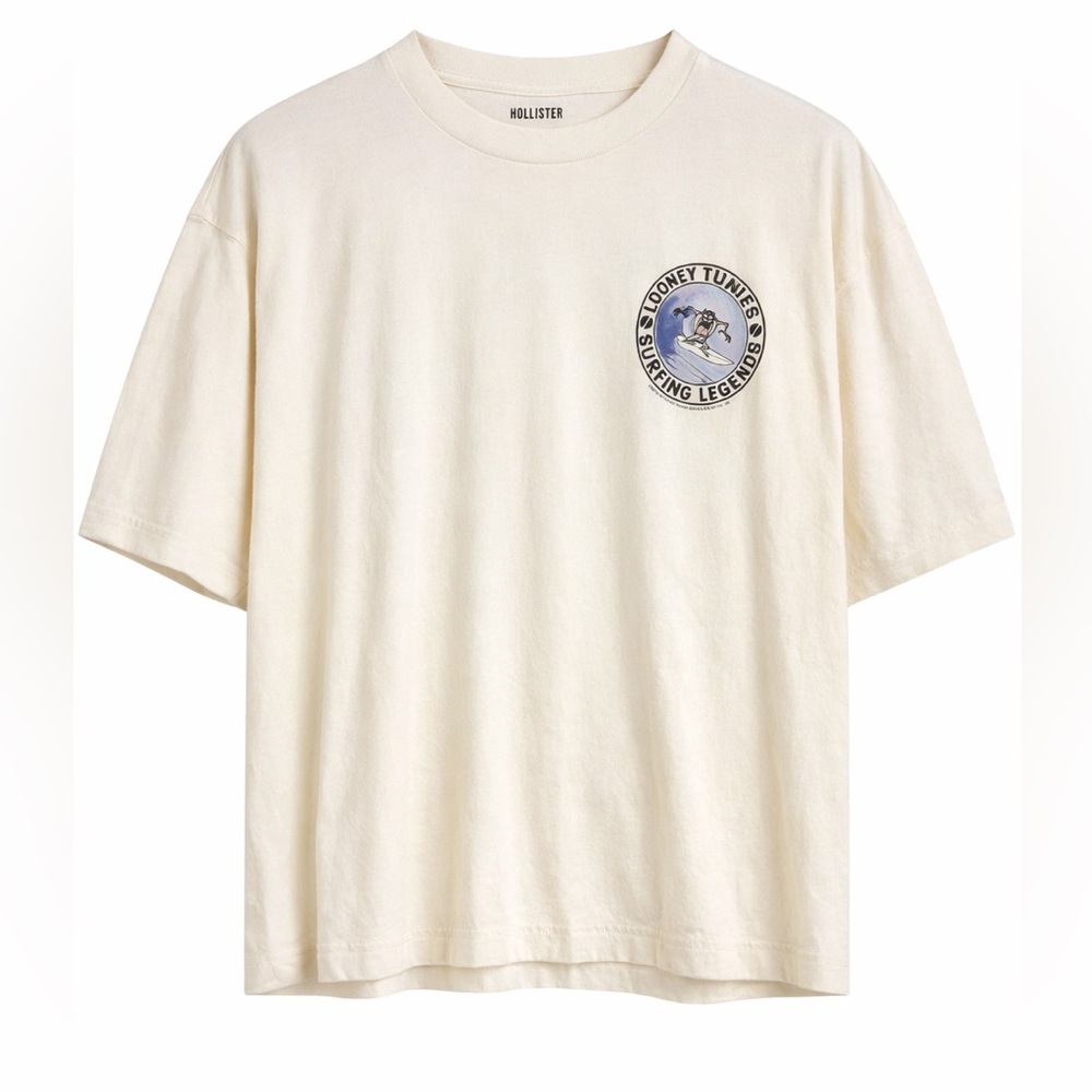 Hollister  Looney Tunes Taz Surfing Legends Graphic Tee Boxy Crop L